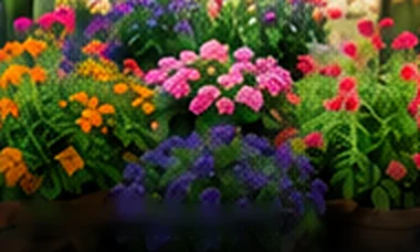 Annual Flowers