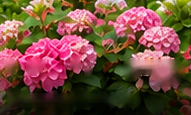 Flowering Plants