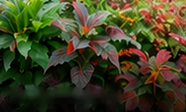 Tropical Plants
