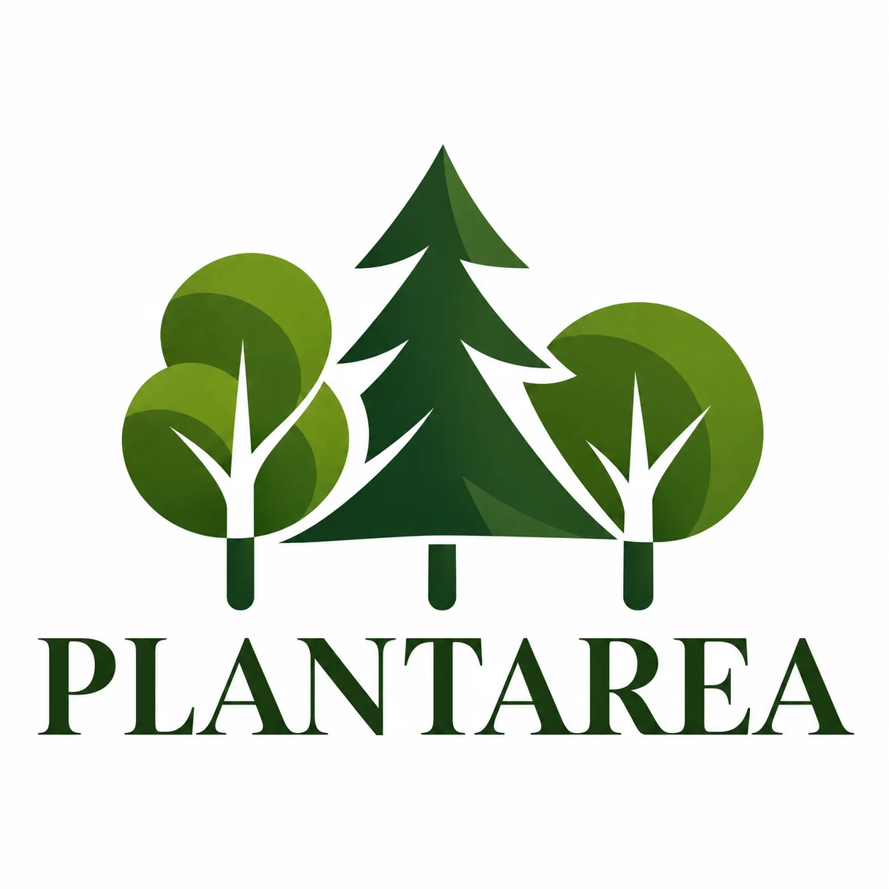 PLANTAREA